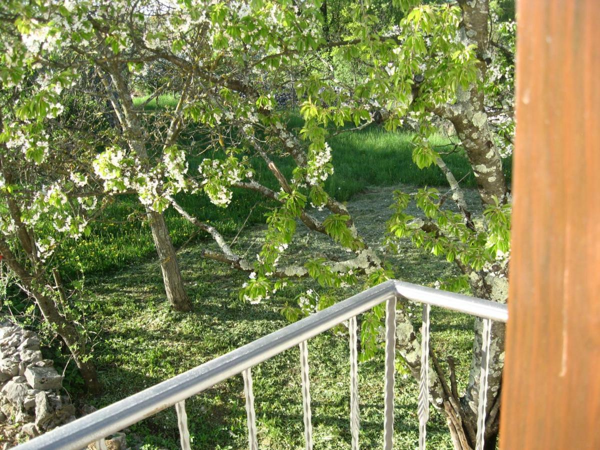 Ferienwohnung Antonia & Arian Roč Exterior foto